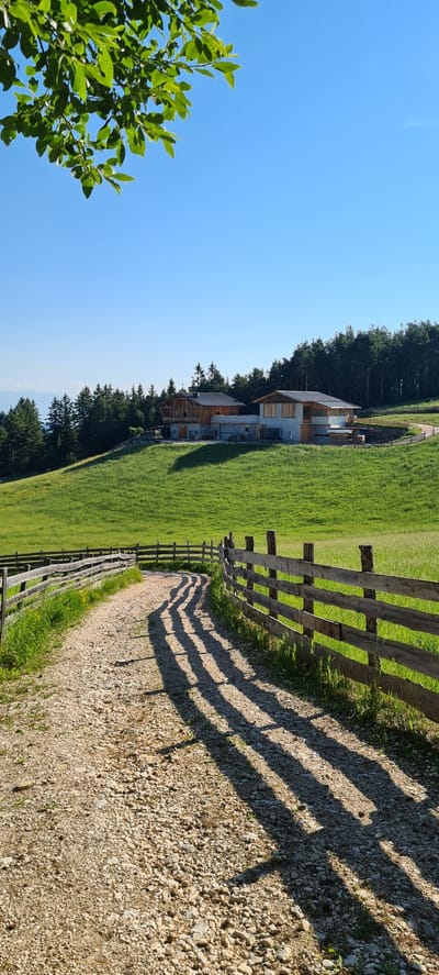 The image depicts a rural scene in Deutschnofen - Nova Ponente, Italy, under a clear blue sky. In the foreground, a gravel path winds through a lush green meadow, bordered by a rustic wooden fence. The fence casts long, striped shadows across the path, indicating the time of day is likely morning or late afternoon. In the mid-ground, two modern buildings with wooden accents are nestled on a hillside, surrounded by a dense forest of evergreen trees. The buildings appear to be residential or agricultural structures. The overall environment suggests a tranquil, mountainous landscape. No people are visible in the image.
