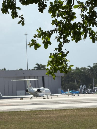 The image depicts a scene at an airport in Dania Beach, United States of America. In the foreground, green foliage from a tree hangs down, obscuring parts of the sky and the background. A white private jet is positioned on the tarmac, with its tail and engines visible. Further in the background, a smaller blue airplane is parked. A building, likely a hangar, is visible behind the white jet. Several palm trees and other vegetation are present in the mid-ground and background, suggesting a tropical or subtropical environment. The sky is overcast. There are no people visible in the image. The overall scene conveys a sense of an active aviation environment.