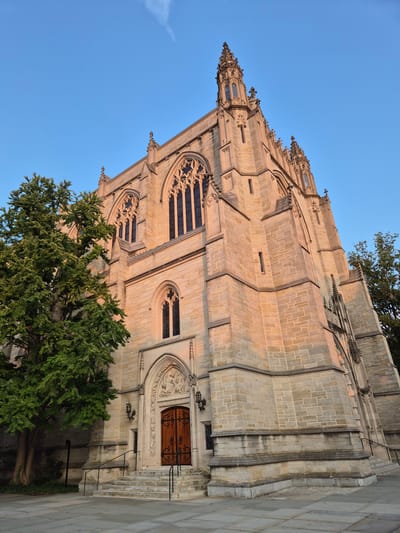 The image shows the exterior of a Gothic Revival style building, likely a chapel or church, constructed with light-colored stone blocks. The building features tall, pointed arch windows with intricate tracery and ornate spires that reach towards a clear blue sky. Sunlight illuminates the facade, casting warm tones on the stone. A large, mature green tree with dense foliage stands to the left of the building, its branches partially obscuring the upper stories. In front of the building, a set of stone stairs leads up to a large wooden double door, which is framed by a decorative stone archway. The ground in front of the stairs is paved with large, square stone tiles. The overall scene suggests an architectural landmark in a serene, possibly institutional or historical setting. Based on the architectural style and the context of Princeton, this is likely Princeton University Chapel.
