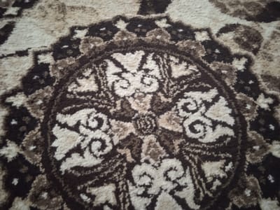 The image shows a close-up, angled view of a patterned carpet. The pattern is intricate, featuring a central circular motif with floral or abstract designs in shades of brown, beige, and cream. This central element is surrounded by further patterned bands, creating a decorative border. The texture of the carpet appears to be plush or shaggy. No people, actions, or specific environmental context within Джапалак, Kyrgyzstan are visible in this image.