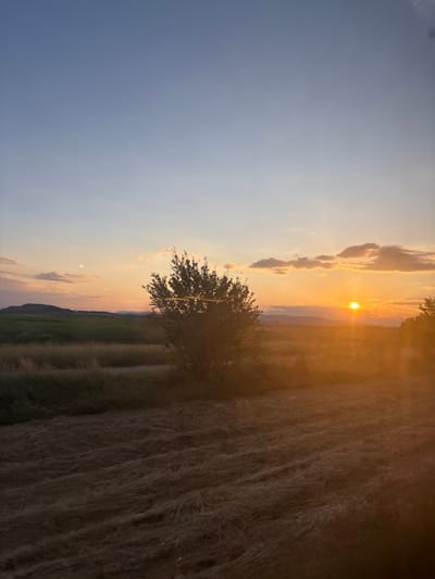 The image displays a rural landscape captured at sunset in Tsar Asen, Bulgaria. The sky transitions from a gradient blue-grey in the upper frame to intense golden-orange and pink hues near the horizon. Scattered stratocumulus clouds, illuminated from beneath, are present, predominantly in the mid-right portion of the sky. A faint, linear contrail from an aircraft is visible in the upper mid-right.
The sun, an intense golden orb, is positioned low on the horizon in the right half of the frame, partially obscured by clouds and atmospheric conditions. Strong sunbeams project horizontally and downwards, generating a prominent lens flare effect across the lower right quadrant of the image.
The landscape consists of fields and distant topography. In the mid-ground on the left, a cultivated field exhibits green vegetation. Towards the right and foreground, the fields are covered with dried, mown, or dormant vegetation, appearing in shades of golden-brown and dark orange, with textural patterns visible on the ground. A singular, densely foliated deciduous tree or large bush is centrally positioned in the mid-ground, silhouetted against the brighter sky.
A range of dark hills or mountains extends horizontally across the far background, silhouetted against the colored sky. An unpaved track or path is subtly visible traversing the mid-ground, partially obscured by vegetation. No human subjects, animals, or identifiable man-made structures are present within the scene. The lighting conditions are consistent with late sunset, characterized by warm, directional illumination and atmospheric haze.