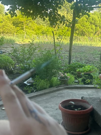 Elenovo, Bulgaria. A dirt field adjoins a raised concrete structure on which sit two plant pots. The closer pot is made of terracotta and contains seedlings. Beyond the concrete structure are assorted plants and trees. A person’s arm holding a lit cigarette is visible in the foreground.
