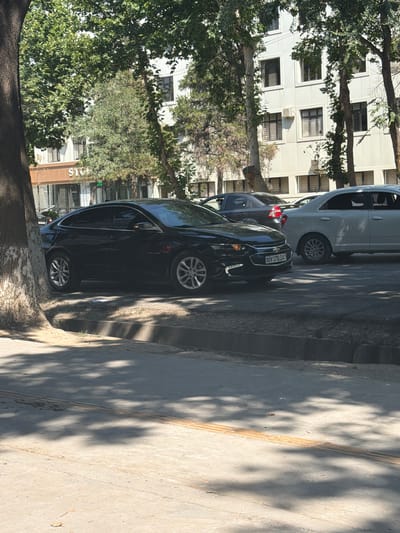 The image shows a street scene in Gulistan, Uzbekistan, with cars parked alongside a sidewalk lined with trees. The foreground is dominated by the dark, reflective surface of a black car, its wheels clearly visible. The car appears to be a modern sedan. Behind it, a lighter-colored car is parked, partially obscured by trees. In the background, a white building with multiple windows and air conditioning units is visible, suggesting an urban or semi-urban environment. The sunlight casts distinct shadows of the trees and foliage onto the sidewalk and street, indicating it is daytime, likely mid-morning or afternoon. The overall atmosphere is calm and ordinary, depicting a typical street view. There is some text visible on the license plate of the black car, which appears to be "20M 070DA". Another piece of text is visible on the side of a building in the background, reading "STOUS". The image is oriented vertically.