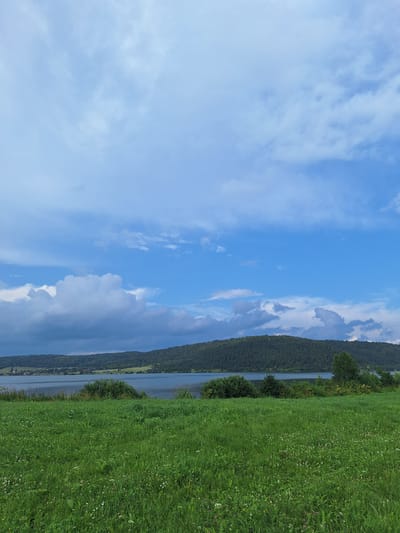 The image depicts a scenic landscape view from the shore of a lake, possibly in or near Atamanovka, Russia. The foreground is dominated by a lush, green grassy field dotted with small white and purple wildflowers. Beyond the field, a wide expanse of water stretches towards a forested hill that forms the middle ground. The hill is densely covered with dark green trees and slopes gently down towards the lake. Along the base of the hill, a line of buildings, appearing to be a small settlement, is visible. The sky above is a vibrant blue, characterized by a mix of fluffy white cumulus clouds and darker, more dramatic storm clouds, suggesting a dynamic weather pattern. The overall atmosphere is natural and serene.