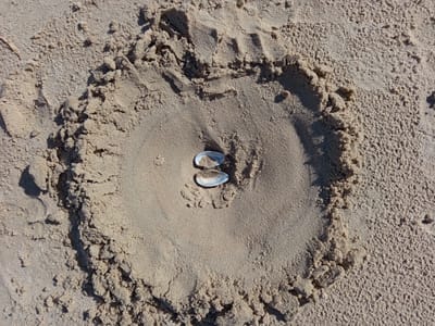 The image displays an overhead view of fine-grained, light-colored sand, located in Podborov'e, Russia. No human figures or animals are present. The central feature is a distinct, manually formed, roughly circular or slightly heart-shaped depression in the sand. This depression is characterized by a raised, irregular rim of mounded sand, which casts pronounced shadows towards the upper-right, indicating direct sunlight from the upper-left. Within the smoother, recessed base of this sand feature, two small, elongated, light-colored bivalve seashells are centrally placed. Both shells are oriented with their concave interiors facing upwards, each containing a minimal quantity of sand. The upper shell is positioned slightly north of the lower shell. The surrounding sand exhibits varying textures, ranging from compacted, finely granular areas to looser, disturbed sections. A slender, dried plant fragment is visible in the upper-left corner of the overall sandy environment.