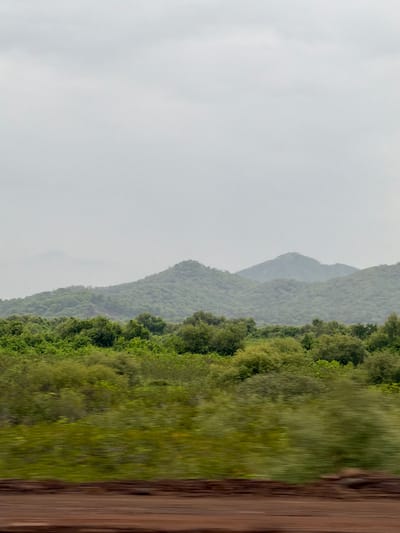 The image depicts a natural landscape, likely a rural or undeveloped area, under an overcast sky. In the foreground, a blurred band of reddish-brown earth suggests a dirt road or ground cover, possibly indicating motion blur from a vehicle. Behind this, a densely vegetated area features various shades of green foliage, appearing as a vibrant and slightly out-of-focus band. This vegetation likely consists of trees and shrubs.
In the midground, a range of rolling hills covered in lush greenery rises, with the closest hills being more distinctly defined than those further in the distance. These hills are densely wooded, with the lighter green hues indicating the presence of many trees. The textures of the vegetation on the hills are varied, with some areas appearing smoother and others more rugged.
The background is dominated by a hazy, muted sky, which appears light gray and featureless, typical of cloudy weather. The overall impression is one of a verdant and serene natural environment, devoid of any human structures or activity. The slight blur in the foreground suggests the photograph was taken from a moving vantage point. The scene does not contain any identifiable landmarks that would pinpoint its location within Vasai-Virar, India.