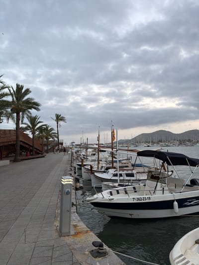 The image depicts a waterfront scene in Port D'alcúdia, Spain, under a cloudy sky. A paved walkway runs along the left side of the frame, lined with palm trees and a wooden structure with a ramp. Several people are walking along the walkway. To the right of the walkway, numerous boats are moored in the water, ranging from small motorboats to sailboats. One motorboat in the foreground has the registration number "7-362-23-19" clearly visible on its hull. The water is dark and slightly rippled. In the background, more boats are docked in a harbor, with hills visible on the horizon. The overall atmosphere is calm and overcast, suggesting either early morning or late afternoon.