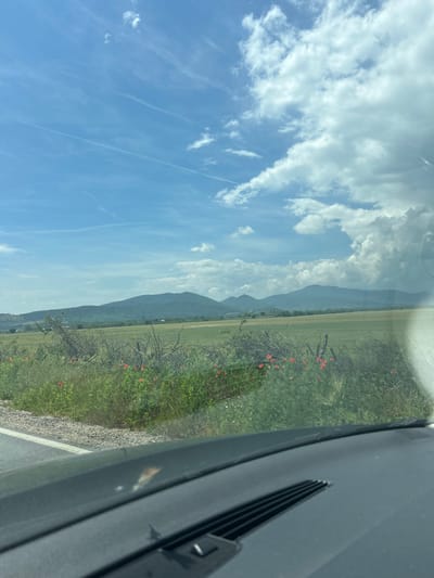 This image captures a vibrant rural landscape viewed from inside a moving vehicle, likely a car. The scene is dominated by a clear blue sky interspersed with fluffy white cumulus clouds and faint, wispy contrails from aircraft.

Below the sky, a long range of mountains stretches across the mid-ground, appearing hazy in the distance under the bright daylight. The land in front of the mountains consists of vast, flat green fields, suggesting agricultural use.

In the foreground, a strip of roadside vegetation is visible, featuring lush green grass and bushes. Bright red flowers, possibly poppies, are scattered throughout this greenery, adding a pop of color. A paved road with a distinct white edge line runs along the very bottom right. The immediate foreground on the right side of the image shows parts of a car's interior, including a dark-colored dashboard and an air vent with horizontal slats, indicating the photograph was taken through a side window. Reflections on the window also partially obscure the view.

The time of day appears to be midday or early afternoon, characterized by strong sunlight and clear visibility. The weather is fair with scattered clouds. The image provides a glimpse of a scenic journey through a mountainous, cultivated region, consistent with the provided location context of Marino Pole, Bulgaria. There is no visible text in the image.