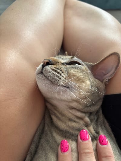 In Natukhayevskaya, Russia, a close-up, eye-level shot captures a tabby cat napping in the lap of a person. The cat's head is tilted back with its eyes closed, showcasing its whiskers and soft fur. The person's legs, with smooth, tanned skin, form a backdrop for the feline. Three fingers with bright pink nail polish, adorned with small black speckles, are visible in the lower right corner of the frame, gently resting on the cat's body. The background is blurred, suggesting an indoor setting.