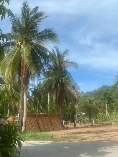 The image depicts a tropical scene, likely in or near Baan Don Sai, Thailand, judging from the location information provided. In the foreground, there are coconut palm trees with visible coconuts. A partially constructed, rustic-looking structure made of interwoven organic material sits near the trees. In the midground, two individuals are seen along a dirt path or construction site adjacent to a paved road. The background features lush, green vegetation covering a hillside. The sky is clear and blue with scattered clouds. The image is rotated 90 degrees clockwise.