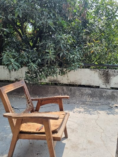 The image shows a wooden chair with a broken seat and a missing back cushion, positioned on a concrete surface. The chair is made of dark brown wood and has a simple design. Behind the chair, a dense green bush grows on a sloped concrete surface with a white wall above it. The location is identified as a residential area in the city of Lucknow, India. The coordinates provided correspond to a neighborhood in Lucknow, known as Aliganj. The overall scene suggests a residential setting, with a focus on the chair as the main subject.
