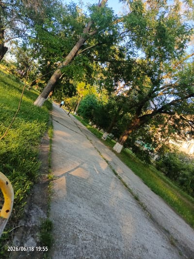 The image depicts a paved pathway bordered by lush green grass and mature trees on a sunny day. The pathway is angled, leading the viewer's eye into the distance, where a person is walking away from the camera. The trees are tall and have full canopies of green leaves, with some branches reaching over the path. The ground on either side of the path is covered in green grass, which appears well-maintained. In the background, sunlight filters through the leaves, casting dappled shadows on the path. A building with light-colored walls and windows is visible through the trees on the right side of the image. The timestamp in the lower left corner indicates the image was taken on June 18, 2026, at 19:55. The scene is serene and appears to be a public park or a tree-lined street.