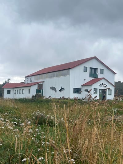 The image displays a large, two-story building with white corrugated metal siding and a red gable roof, situated in a grassy field under an overcast sky. The structure is located in Estancia Harberton, Argentina.
The main section of the building features a prominent red gable roof and multiple dark-framed windows. The upper story on the right side has a central window with a small green balcony railing, flanked by two smaller square windows. Below this, a recessed entrance is sheltered by a small, red-roofed awning, featuring a green door and two small square windows. The longer side wall of the main building is adorned with two large, dark silhouettes of marine mammals: one resembling a whale and the other an orca. Below these silhouettes, various weathered objects, including what appear to be old tires and natural debris, are scattered on the ground.
To the left, a single-story extension with a red roof adjoins the main building. This extension features a series of four small, uniformly spaced rectangular windows, followed by a larger window and an obscured dark green double door further to the left.
The foreground consists of an untended field dominated by tall, dried, and green grasses, interspersed with numerous small white flowering plants. In the distant background, a line of dark green foliage, possibly trees or shrubs, is visible along the horizon. The sky is uniformly light gray and overcast. No individuals or active events are present in the scene.