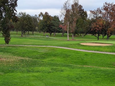 A wide shot of a vibrant green golf course under a cloudy sky. Trees line the course, displaying autumnal colors. A sand bunker is visible, along with a path winding through the landscape. A golf cart is seen in the distance on the path, adding to the scene's leisurely atmosphere. Fallen leaves are scattered on the grass.