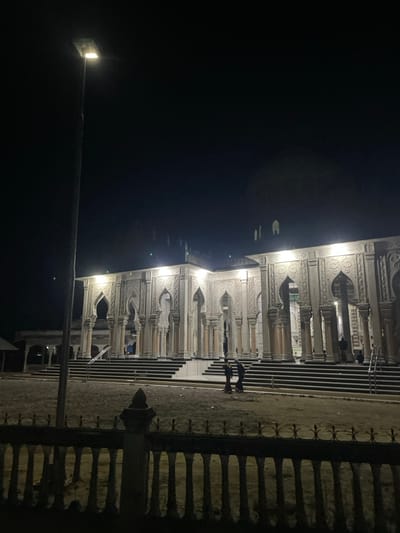A nighttime view showcases an ornate building with numerous columns and arches, illuminated by bright lights. Steps lead up to the structure. To the left, a street lamp casts a glow. A dark fence runs along the right side of the frame. Two people can be seen on the steps of the building. The scene is captured in a low-light setting, with the sky appearing almost black.