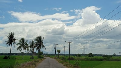 The image depicts a rural scene in Dayah Kampong Pisang, Indonesia, characterized by a paved road winding through lush green rice fields under a partly cloudy blue sky. Several coconut palm trees are visible on the left side of the road, some leaning with their fronds rustling in the wind. Utility poles with power lines stretch across the upper right portion of the frame, and a tall transmission tower is visible in the distance. The landscape is relatively flat, with a range of mountains or hills forming a distant horizon. There are no people or animals prominently featured in the image. The overall atmosphere is serene and suggests a typical day in a tropical agricultural area.