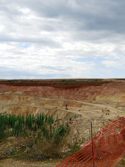 An open-pit mine in Raygorodok, Kazakhstan, under a cloudy sky. The quarry reveals layered strata of earth in varying shades of brown and yellow, with distinct horizontal lines indicating different geological formations. Several roads or paths are visible on the excavated levels, and on one of these, a small white truck is parked. Further down, a drilling rig stands on the quarry floor. In the foreground, a dense patch of tall, green, reedy plants grows, bordering a rough, gravelly terrain. An orange plastic safety fence with white ties is prominently positioned in the lower right corner of the image, partially obscuring the view of the mine. The overall impression is one of industrial activity in a large-scale excavation.