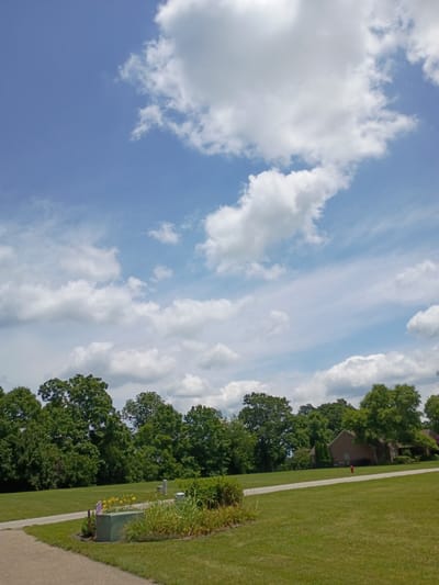 The image depicts an outdoor scene with a clear blue sky filled with fluffy white clouds. The sky occupies a significant portion of the frame, with streaks of thinner clouds suggesting movement. Below the sky, a lush green lawn stretches out, bordered by a paved walkway. To the left of the walkway, a row of mature trees with dense green foliage creates a natural boundary. In the background, glimpses of houses with brick exteriors and red roofs can be seen nestled amongst the trees. A bright red fire hydrant stands out against the green grass near one of the houses. The overall scene suggests a peaceful suburban or park-like environment. The lighting indicates it is daytime, likely during clear weather. There is no visible text in the image.
