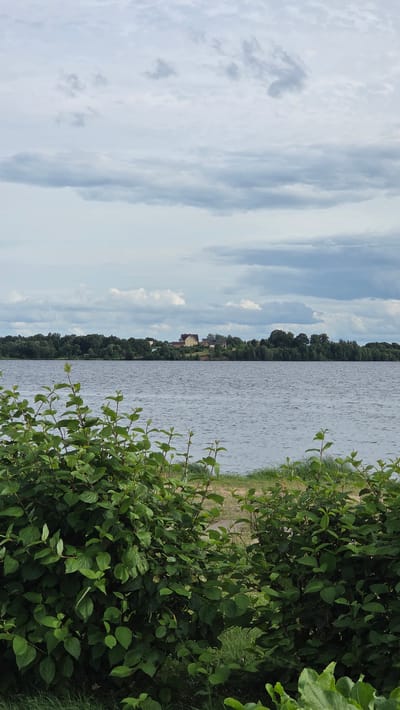 This is a vertical, landscape-oriented photograph taken from the shore of a body of water, likely a river or lake, looking across it. On the right side of the image, lush green foliage of bushes and tall grass fills the foreground, obscuring the immediate bank. The water stretches across the middle of the frame, appearing calm with subtle ripples.
On the far bank, a dense line of trees forms a dark green horizon. Nestled within the trees, a few buildings with reddish-brown roofs are visible, suggesting a settlement. The sky above is partly cloudy, with streaks of white and grey clouds against a pale blue background, indicating it is daytime, possibly late morning or afternoon.
The overall impression is a peaceful, natural scene, likely in a rural or semi-rural setting. There is no visible text in the image. The location context provided is Dzintari, Latvia, which suggests a setting in the Baltic region.