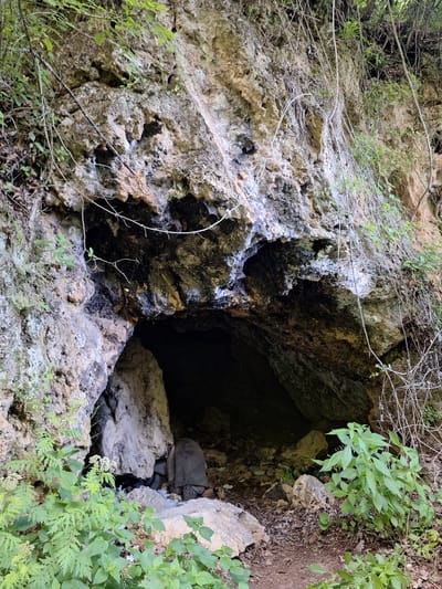 The image depicts the entrance to a cave in a rocky, vegetated area. The cave opening is surrounded by textured, light-colored rock with dark stains. A jumble of rocks and stones forms the foreground. Green plants and small trees grow on the rocks and around the cave entrance. The interior of the cave is dark, suggesting depth. The setting appears to be a natural environment and the location is Zasele, Bulgaria.