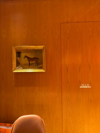 The image displays a wall with a wood-paneled texture, illuminated by warm lighting that highlights the grain. On the upper right section of the wall, there is a vertical label with Chinese characters and English text. The Chinese characters read "消防栓" (xiāo fáng shuān), which translates to "fire hydrant" or "fire hose reel." Below this, in smaller English text, it says "Fire Hose Reel" and further below, Chinese characters that appear to be "火灾 119" (huǒ zāi 119), meaning "fire 119," a common emergency number in some regions.

Centrally located on the lower half of the wall is a framed painting, oriented vertically. The painting depicts a dark-colored horse in motion, with its legs extended. The background of the painting is muted and somewhat abstract, suggesting an interior setting. To the right of the painting, a portion of a rounded, light-colored object is visible, possibly a chair or furniture. The overall impression is of an indoor setting, possibly a hallway or a room with a decorative element on the wall. The time of day is not discernible. The location context is Qinhuai District, China.
