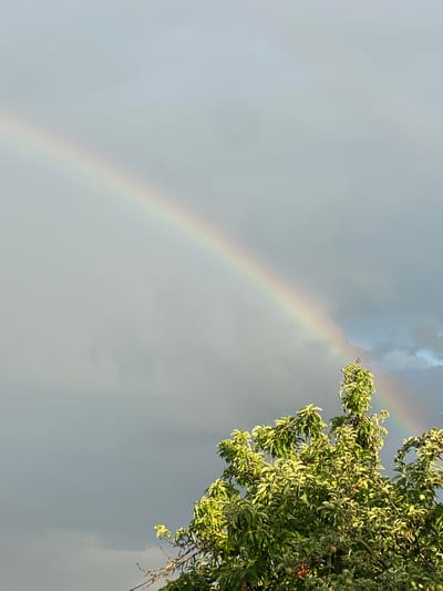 A rainbow arcs across a cloudy sky in Cairaclia, Moldova. The sky is a mix of light gray and darker, ominous clouds. The rainbow, with its distinct bands of color, begins in the upper left quadrant and stretches diagonally towards the lower right. In the foreground, the upper branches of a lush green tree, possibly an apple tree with small green fruits visible, are illuminated by sunlight. The foliage is dense, with leaves appearing bright green, catching the light. The overall scene captures a moment of natural beauty after a potential rain shower, set against a dramatic sky.