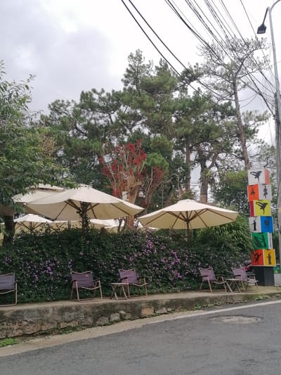 This is a photograph of an outdoor seating area with tables and chairs, likely a cafe or restaurant, located on a street in Da Lat, Vietnam. The scene is dominated by lush green foliage, including trees and flowering bushes with small purple flowers. Several large, light-colored umbrellas provide shade over the seating area. The chairs are made of a dark fabric stretched over a metallic frame. In the background, tall pine trees with dense green needles are visible, along with a utility pole and numerous overhead wires. To the right side of the image, a tall, narrow, multi-colored sign displays silhouetted figures engaged in various activities, possibly representing dance or athletic poses. The sky is overcast, suggesting a cloudy day. The street in the foreground appears to be asphalt with a white line marking. The overall impression is of a serene, naturalistic setting within an urban environment.