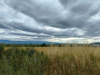 A wide-angle, eye-level shot captures a rural landscape under a dramatic, cloudy sky. In the foreground, tall, dry grasses and green foliage are densely packed, with occasional small blue and red wildflowers visible. Behind this, a golden field of crops stretches towards a distant line of green trees and hills. In the far distance, a mountain range is silhouetted against the horizon, with patches of lighter sky breaking through the heavy, gray clouds that dominate the upper half of the frame. The scene suggests a natural setting on the outskirts of Hadzhidimitrovo, Bulgaria. There are no people or animals visible in the image.
