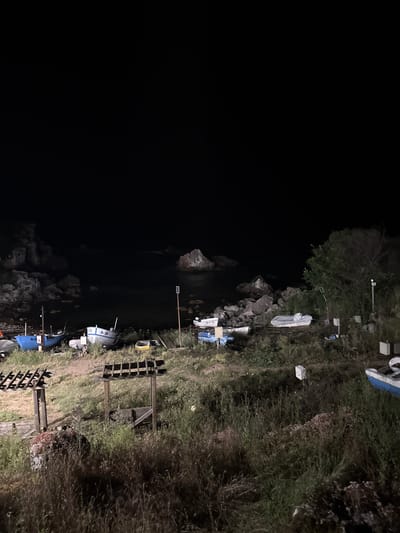 The image depicts a nighttime scene at the coast of Tyulenovo, Bulgaria. Several small boats are pulled up onto a grassy, rocky shore. The water is dark and calm, with rock formations visible in the distance. The sky is black, indicating nighttime. Vegetation, including tall grasses and some bushes, is present on the shore. There are some wooden structures, possibly for shade or storage, and a pole with what appears to be electrical equipment. One boat is partially covered with a tarp. The overall impression is one of a quiet, perhaps abandoned, coastal area at night.