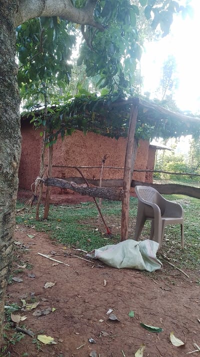 The scene is set outdoors in Kisa Central ward, Kenya. A large tree trunk with textured bark is prominent on the left, partially framing the view. The ground consists of reddish-brown earth with scattered dry leaves and sparse green vegetation. A crumpled, light-colored woven sack lies on the ground to the right of the tree trunk. In the midground, a rustic structure made of raw wooden poles and horizontal logs supports a canopy of green foliage. Behind this structure stands a reddish-brown, textured mud-walled building with a dark-colored roof partially visible. To the right of the wooden structure, a beige plastic chair with a perforated back and seat is positioned on a patch of grass. The background features dense green foliage and trees, with bright sunlight filtering through, indicating daytime. No individuals are present.