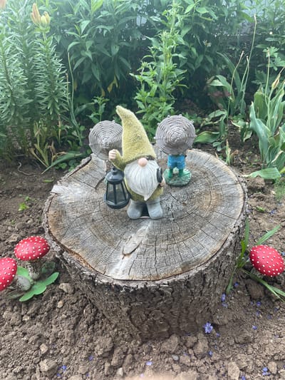 A garden scene in Nizhnii Bugrysh, Russia, features two garden gnomes on a tree stump. The gnome on the left is holding a black lantern and wearing a green hat and grey boots. The gnome on the right is wearing blue overalls and is standing on a green base. The tree stump is weathered and cracked. Scattered around the stump are three artificial toadstools with red caps and white spots. The background consists of lush green foliage and a wooden fence.