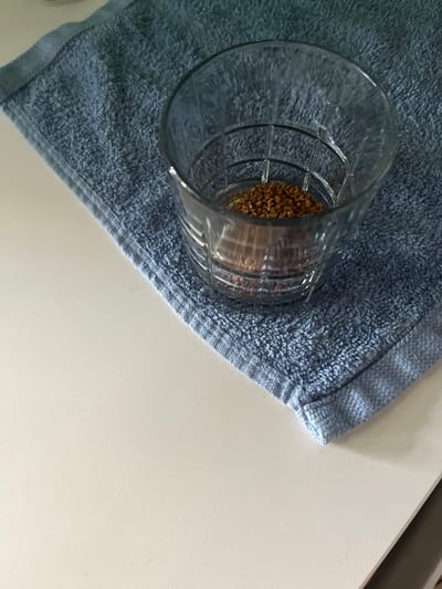 A clear, faceted glass tumbler containing a small quantity of brown granular material, identified as instant coffee, rests on a light blue terrycloth towel. The towel occupies the upper right portion of the frame, lying on a flat, off-white surface, possibly a countertop. No individuals, actions, or direct interactions are visible. The scene is static, depicting objects in an indoor environment, likely a kitchen, within the city of Hollywood, United States.