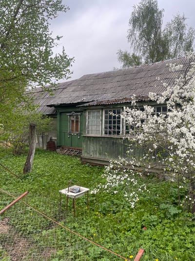 The image depicts a rural scene in Хлябово, Russia. A weathered, green, wooden house with a gray, corrugated roof is partially obscured by foliage. Two multi-paned windows are visible on the front of the house. A blossoming tree with white flowers dominates the upper right quadrant of the image. Tall green grass and weeds cover the ground. A white, triangular object stands on metal legs near a chain-link fence in the foreground. A fallen tree trunk rests on the ground between the house and the fence. The sky is overcast. There are no people visible.
