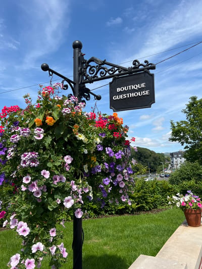 A hanging basket overflowing with a vibrant display of colorful flowers, including pink, purple, red, and orange petunias and other blossoms, is suspended from a black metal signpost. The sign, also black, is ornately decorated and displays white text that reads "BOUTIQUE GUESTHOUSE". The signpost is set against a clear blue sky with scattered white clouds. In the background, lush green grass, manicured hedges, and trees suggest a well-kept outdoor area. Beyond the greenery, a few buildings and parked cars are visible, hinting at a nearby town or village. The overall scene is bright and cheerful, with the abundance of flowers and the clear sky suggesting a pleasant day, likely in the late morning or afternoon. The context provided indicates the location is in Donegal, Ireland.