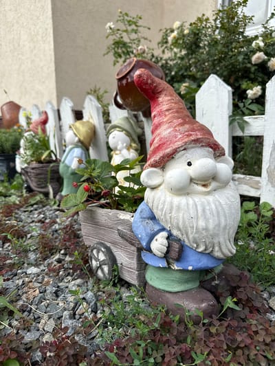 The image depicts a close-up of garden gnome statues arranged in an outdoor setting, likely a garden or yard. In the foreground, a large gnome with a red hat, blue jacket, and green pants is prominently featured, holding a small brown object. Behind this gnome, a miniature wooden cart with a wheel is visible, containing small plants with red berries, likely strawberries. Further back, other garden gnomes and decorative elements are partially visible, including a white picket fence and flowering bushes with pale yellow or white roses. The ground is covered with gravel and small plants. The overall scene is static and appears to be a decorative arrangement rather than an active event. The image does not contain any information or context that would allow for its placement in the city of Змеиная Горка Кс, Russia, or any other specific location.