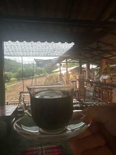 A first-person perspective image depicts a clear glass cup containing a dark liquid, resting on a clear glass saucer, held by a hand in the lower right foreground. The cup is situated on a dark surface, with a folded plaid fabric (red, white, and dark tones) visible beneath it. The scene is set within a shaded, semi-outdoor structure in Ban Paem Bok, Thailand.
Through an opening in the structure, a view of the natural environment is presented. Overlapping the top of this view is a dark, undulating shade net. Beyond this, a sloping agricultural field with exposed earth and patches of green vegetation extends into the midground. Distant hills covered in dense green foliage rise under an overcast sky.
To the right, the interior of the semi-outdoor structure is visible, featuring dark metal beams, a roof, and brick support pillars. Artificial warm-toned lighting fixtures are active. A blurry individual is seated at a table with stools in the background, suggesting other occupants or staff. Metal railings delineate sections of the seating area.
