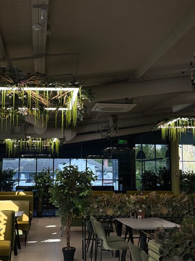 The interior of a restaurant in Taraclia, Moldova, features tables, chairs, and decorative plants. Large windows allow natural light to enter the space. Overhead, there is a hanging light fixture. The overall design incorporates greenery and natural elements.