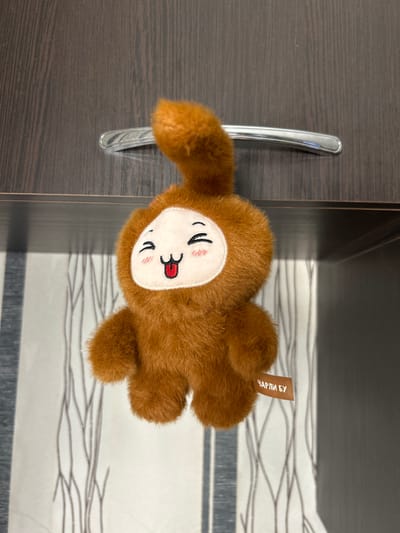 A brown, fuzzy plush toy is hanging from a silver drawer pull on a dark brown wooden cabinet. The toy has a round face with black embroidered eyes, rosy cheeks, and a smiling mouth with a red tongue sticking out. A small, brown tag with white Cyrillic lettering, reading "ЧАРЛИ БУ", is attached to the toy's right leg. The background consists of a wall with a white and grey striped wallpaper pattern featuring thin, dark lines resembling branches. The scene is likely indoors, in a residential or commercial setting. Smolyaninovo, Russia is a village in the Khasansky District of Primorsky Krai, located in the Russian Far East. It is situated on the coast of the Peter the Great Gulf.