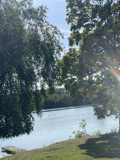 The photograph captures a waterfront scene with the foreground dominated by foliage of trees with sunlight filtering through the leaves. To the right, the water's surface is visible. In the center-left of the image is a body of water with three small objects that may be birds. The scene appears to be a park or natural area along the river Stour in Ashford, United Kingdom.
