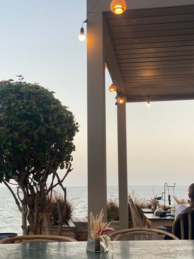A frontal, medium shot captures a waterside restaurant setting at dusk in Taghazout, Morocco. The view looks out towards the Atlantic Ocean, with a calm sea under a pale sky. In the foreground, a dark, textured tabletop is visible, with chairs made of rattan and wood arranged around it. Beyond the table, a trimmed, bushy green tree stands to the left, its branches bare in places. In the background, several tables are set with food and decorative elements, and a person is seated at one, facing away from the camera. Overhead, a slatted wooden roof is illuminated by string lights, with a larger, patterned light fixture also visible. The overall ambiance suggests a tranquil evening by the sea.