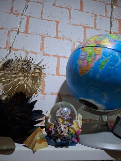 This is a photograph of a collection of decorative objects displayed against a brick-patterned wall. The primary subjects are a globe, a pufferfish specimen, and a glass orb containing two sea turtles. The globe, which is partially visible, shows Africa and its surrounding oceans. The pufferfish is dried and has its spines extended, giving it a spiky appearance. The glass orb is a diorama featuring colorful coral and two small, decorative sea turtles. There are also some dark, shell-like objects and a small, multi-colored stone pyramid in the foreground, as well as a string of fairy lights. The lighting suggests an indoor setting, possibly a home or a shop, with a focus on the displayed items. The brick pattern on the wall appears to be painted or a wallpaper. Some text labels from the globe are visible, identifying countries and geographical features in Africa and the Indian Ocean, including "UGANDA," "KENYA," "ETHIOPIA," "TANZANIA," "ANGOLA," "ZAMBIA," "ZIMBABWE," "SOUTH AFRICA," and "OCEAN."