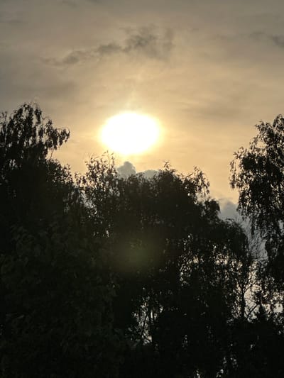 The image shows a view of the sky with the sun partially obscured by clouds and trees in the foreground. The sun appears as a bright, hazy orb in the upper center of the frame. The sky is a mixture of light grey and yellow hues, with some darker clouds scattered across it. The trees are silhouetted against the sky, with their dark foliage creating a dense canopy. The scene is likely a natural landscape, possibly a park or a wooded area. The location, Заря Снт, Russia, suggests a suburban or rural setting. There are no people or specific objects of interest visible in the image, beyond the natural elements. The lighting suggests it is either sunrise or sunset, given the low angle of the sun and the warm colors in the sky.