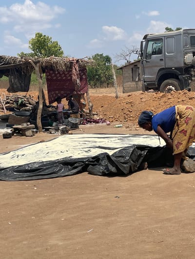 A woman in a blue top and butterfly-patterned skirt bends over a long, black plastic sheet with a white substance on it. Beside her, under a makeshift shelter, another person is visible. A large truck is parked nearby. The ground is brown, and the sky is light blue with scattered clouds. Trees and a building are in the background, completing the rural scene.