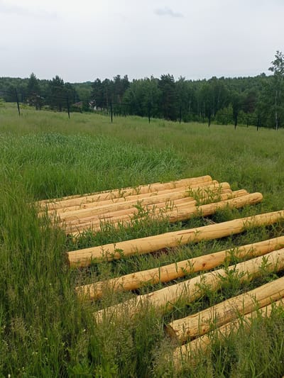 In Karluk, Russia, a pile of freshly cut, light-colored logs lies horizontally on a grassy field. The logs are of varying lengths and thicknesses, with the largest at the bottom and progressively smaller ones stacked above. They are arranged in several rows, with some logs partially obscured by the tall green grass that surrounds them. In the background, a dark metal fence runs across the field, separating it from a dense forest of green trees under a cloudy sky. A few buildings are visible through the trees in the distance, hinting at a nearby settlement. The scene suggests preparation for construction or a logging operation.