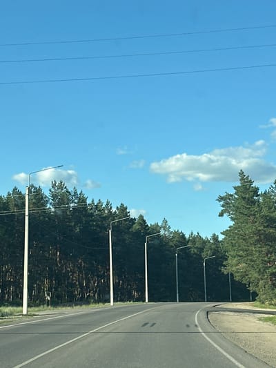 A vertical, eye-level shot shows a clear blue sky with a few scattered white clouds above a dense line of dark green pine trees. Three power lines are visible horizontally across the sky. The road ahead curves gently to the right, with white lane markings. Several white streetlights with angled arms stand along the left side of the road, bordering the trees. A light pole with what appears to be a sign is visible between two of the streetlights on the left. The right side of the road is lined with gravel and grass. The overall scene depicts a rural or suburban road leading through a forested area under a bright sky. The image is undated and the specific location in Заброды, Russia, is not discernible from the visual information provided.