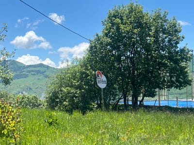 This media file depicts a vibrant, sunlit outdoor scene likely in Kumlistsikhe, Georgia. The foreground is dominated by a field of tall, lush green grass dotted with small yellow wildflowers. To the left, a small tree with yellowish-green leaves adds a touch of color.
In the midground, a cluster of dense green trees and bushes creates a natural barrier. A signpost stands prominently amidst the foliage. The sign itself is circular with an orange border and a white center. It features a stylized graphic of a person and a logo above the text "heliksir HELISQ CAUCASUS."
Behind the trees, a bright blue surface is visible, partially obscured by vegetation. This appears to be a tennis court or similar recreational area, enclosed by a fence.
The background reveals rolling green hills and mountains, some covered in dense vegetation, others showing signs of terracing or paths. The sky above is a clear, brilliant blue, punctuated by fluffy white clouds, suggesting fair weather and a midday or early afternoon time of day. A thin, dark wire stretches diagonally across the upper portion of the image. The overall impression is one of a peaceful, natural setting, possibly a rural or semi-rural recreational area.