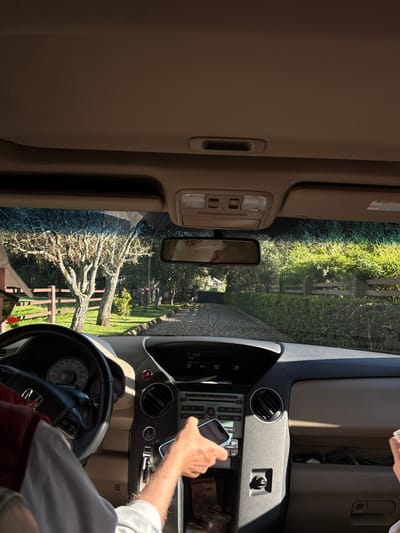 An interior view from a beige-colored Honda vehicle, likely an SUV, looks forward through the windshield onto a cobblestone driveway. Bright sunlight illuminates the scene, creating strong shadows.
Inside the vehicle, the driver's left arm, shoulder, and head are visible on the left. The driver wears a white shirt with a red accent, a white cap, and sunglasses. Their left hand is positioned near the steering wheel. The center dashboard displays "4:23" and "AUX." A front passenger's right arm and hand are extended towards the center console, holding a light blue smartphone near the vehicle's infotainment controls. A second hand, partially visible on the far right, holds a white cup or container. An open cubby on the passenger side contains what appears to be a 100 Mexican Peso note and a small, round container. The rearview mirror reflects a blurred, light-colored object or person.
Outside, the cobblestone driveway extends forward, flanked by green vegetation. To the left, a grassy area features several mature trees with sparse foliage and a wooden fence. To the right, a dense, manicured green hedge runs alongside the driveway, with sections of a wooden fence visible behind it. The driveway leads into a treelined path, with a gate or structure faintly visible in the distance. This rural estate-like setting is consistent with properties found in Huasca de Ocampo, Mexico.