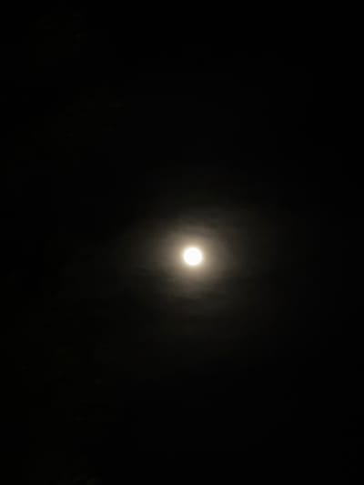 A solitary, radiant moon dominates the dark night sky, its glow diffused by a thin layer of atmospheric haze. The surroundings are enveloped in deep shadows, with only the faintest suggestion of vegetation along the lower edge of the frame. The overall composition conveys a sense of isolation and the stark contrast between light and darkness.