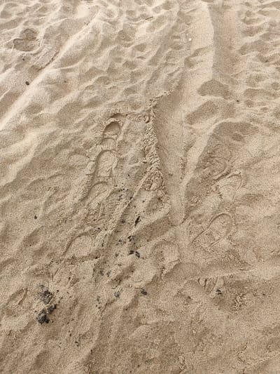 The image depicts a sandy ground surface, identified as being in Thuận An Ward, Vietnam. The substrate consists of light brown, coarse-grained sand exhibiting varied surface textures and undulations. Multiple human footwear impressions are present. Two distinct, partially overlapping impressions consistent with a left athletic shoe are visible in the upper-left quadrant, oriented vertically. A fainter, incomplete footwear impression is also discernible in the lower-right quadrant. A prominent, linear ridge of displaced sand extends diagonally from the upper-right to the lower-center of the frame, indicating a dragging or pushing action. Scattered dark, granular debris, consistent with small stones or organic material, is present within the sand, particularly concentrated in the lower-left and central portions. No human figures or ongoing actions are depicted.