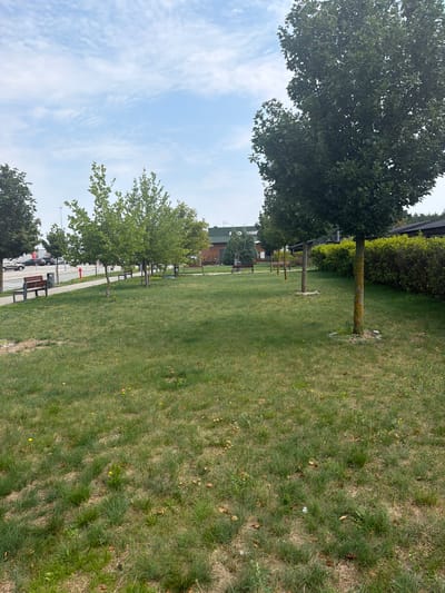 The image depicts an outdoor scene with a grassy park area in the foreground, featuring several trees, benches, and a paved pathway. In the background, a building with a McDonald's sign is visible, suggesting the location is near a McDonald's restaurant. The sky is partly cloudy. The environment appears to be a public space, possibly a rest stop or a recreational area adjacent to a commercial establishment. There are no people visible in the image. The overall scene suggests a pleasant, albeit not bustling, day.